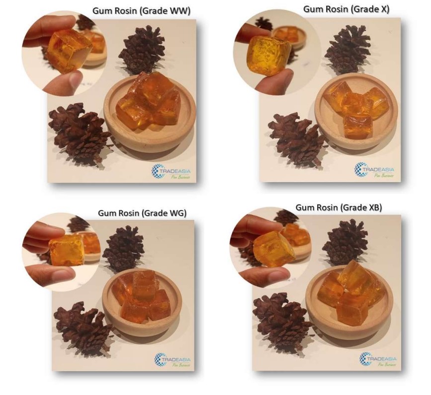 Gum rosin grades and specifications