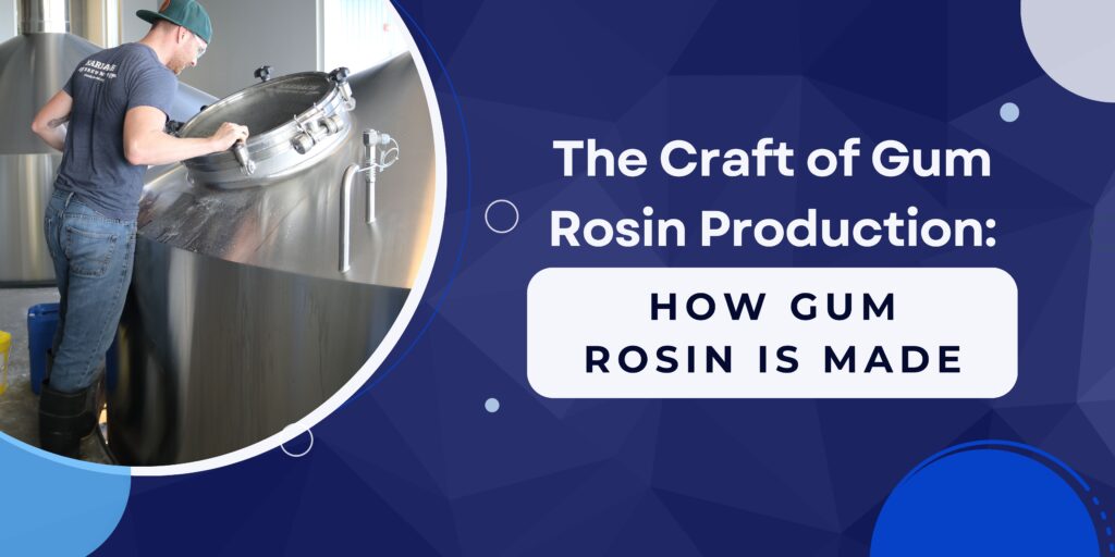 how gum rosin is made